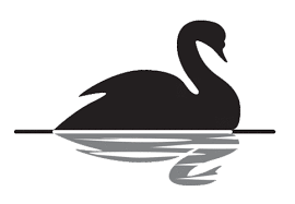 cisne negro 2